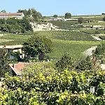 Les Logis Des Vignobles Sainte Emilion En Duplex N 1 Avec Terrasse דירה סנט-אמיליון