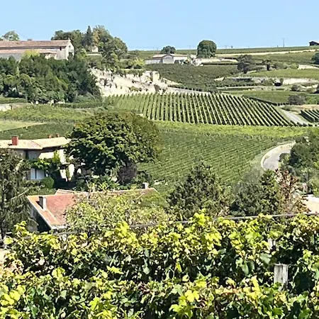 Les Logis Des Vignobles Sainte Emilion En Duplex N 1 Avec Terrasse Apartment Saint-Emilion