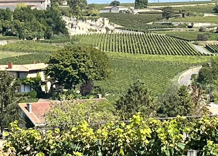 Les Logis Des Vignobles Sainte Emilion En Duplex N 1 Avec Terrasse דירה סנט-אמיליון